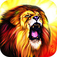 Punch the Wall - Play a true endless wild animal jungle adventure runner game