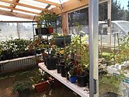 Top Tips for Living Off The Grid