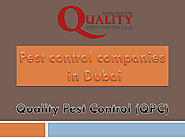 Pest control companies in Dubai