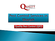 Pest Control Services in Sharjah
