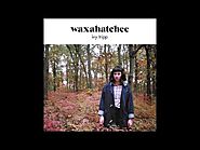 Waxahatchee - "Under A Rock"