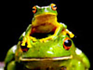 Toxic shock - Mark Mann