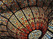 Grup 2 - Els dofins en 2022