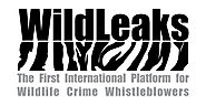 Wildleaks - Intervista ad Andrea Crosta