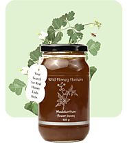 Mudakathan Honey Online in India - Wild Honey Hunters