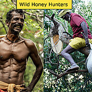 A tribe with a smile & A man harvesting the Honey