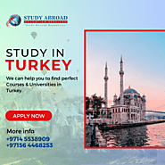 Discover The Beauty Of Turkey And Excel In Your Studies: Study In Turkey Today!