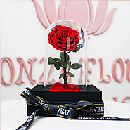 Blooms of Love: The Language of Anniversary Flowers