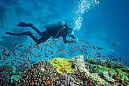 Snorkeling and Scuba Diving in Goa