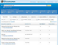 Domain Hunter Plus | Netvantage Marketing