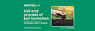 Soil - Process of soil formation Worksheet Class 7 Science