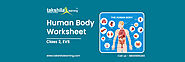 Human Body Class 2 EVS Worksheet with Answer