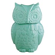 Aqua Blue Ceramic Owl Cookie Jar - Kitchen Things