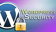 WordPress Security and Vulnerability Issues