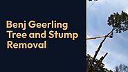 Benj Geerling Tree and Stump Removal