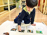 Career Opportunity For Preschool Teacher