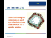 The Parts of a Cell