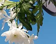 Christopher Licata about philanthropy. in 2022 | Illustration, Delray beach, Creative