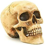 45 Unusually Interesting True Creepy Facts