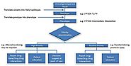 Pharmacogenomics - Wikipedia, the free encyclopedia