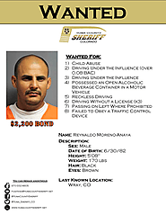 Reynaldo Moreno-Anaya