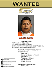 Alfredo Perez-Gutierrez