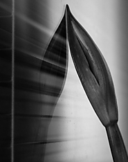 15 Photographs of Pianos That Really Tell A Story | Light Stalking