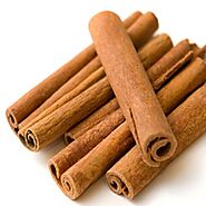 Buy Pure Organic Cinnamon Oil Online at Best Wholesale Price from Manufacturer | Moksha – Moksha Lifestyle Products