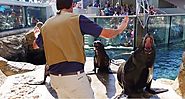 Zookeepers Around The World Are Chris Pratt-ing With Their Animals