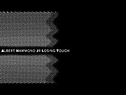 Albert Hammond Jr. -" Losing Touch"