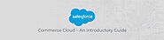 Salesforce Commerce Cloud – An Introductory Guide - Innovadel