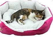 The Sherpa Cotton Fossa Dog Bed Cat Bed Pet Bed Indoor Pink Orange Brown Blue Yellow (pink, 46 x 42cm)