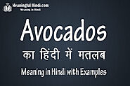 Avocados meaning in hindi