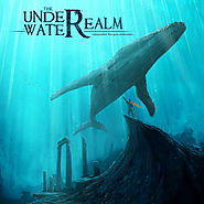 The UnderWaterRealm (@UnderWaterRealm)