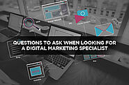 Questions to Ask When Looking for a Digital Marketing Specialist - Local SEO Search Inc.
