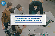 5 Benefits of Working with a Marketing Agency - Local SEO Search Inc.