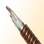 2 Core Copper Concentric Cable