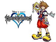 Sora Costumes, Kingdom Hearts 1 Sora Cosplay Costume -- CosplaySuperDeal.com