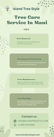 Pruning Olive Tree | Island Tree Style