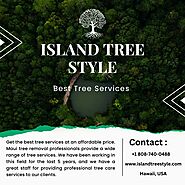 Emergency Tree Removal Services in Hawaii