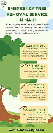 Emergency Tree Removal Service In Maui - Island Tree Style