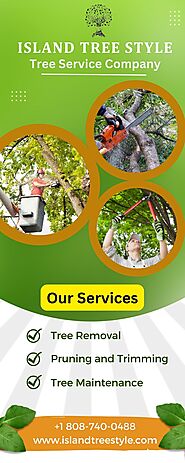 Best Maui Tree Company in Hawaii - Island Tree Style