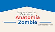 Todo lo que necesitas saber sobre anatomía zombie