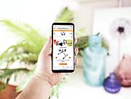 Toileting Aids for Disabled