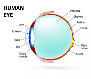 Corneal transplant surgery services in Passaic