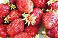 Fraises gros plan, fraises macro