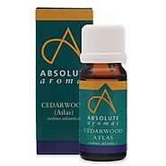Absolute Aromas Cedarwood, Atlas 10ml | Woody Aroma, Stress reducing | Luxury Aromatherapy
