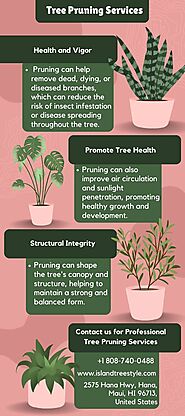 Tree Care and Tree Pruning Services | Island Tree Style