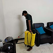 General Pest Control in Pune for Ant, Houseflies, Lizards & More