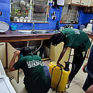 Ant Pest Control services in Pune